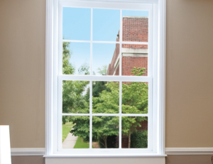 White-frame single-hung window offering view of outdoors on a sunny day.